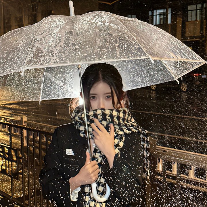 去里斯本的夜车