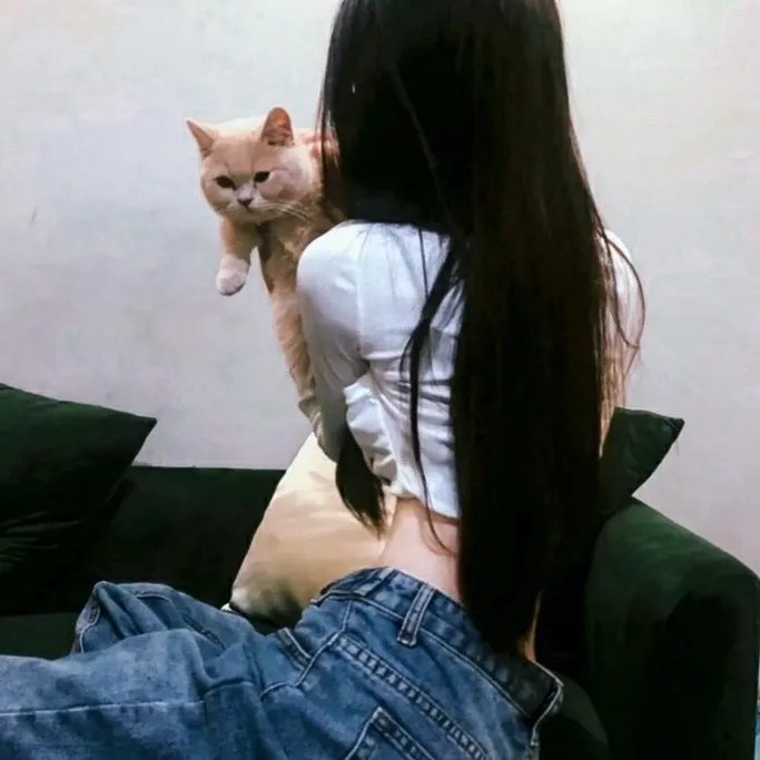 自由如夜